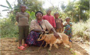 The Elderly Woman's Sustainable Goat Rearing Project
